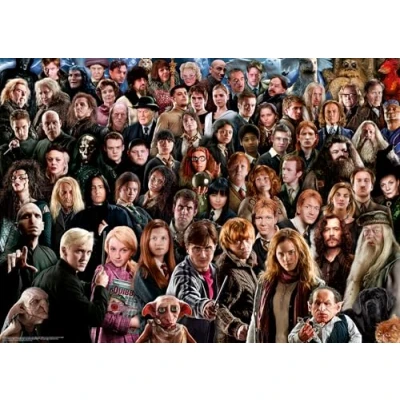 Image de Ravensburger Puzzle Adulte 1000 pièces Harry Potter (Challenge Puzzle) Adultes et enfants à partir de 14 ans qualité supérieure 12000457