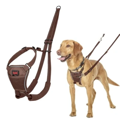 Image de Harnais Anti Traction HALTI pour Que Votre Chien arrête de Tirer sur sa Laisse, Sangle poitrail et des Pattes Avant rembourrée, Chiens Taille Moyenne (Taille M, Brun Noisette)