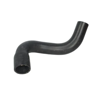Image de THERMOTEC DWF066TT Durite De Refroidissement supérieur Caoutchouc FIAT: Grande Punto 3/5 portes
