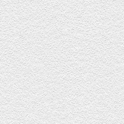Image de Rasch Papier peint 201826 Blanc Avec structure en plâtre Aspect 10,05 x 0,53 m