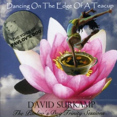 Image de Dancing on the edge of a teacup