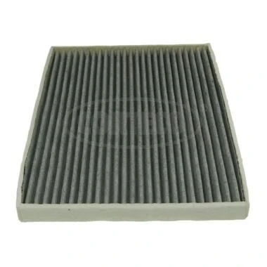 Image de CORTECO 80000770 Filtre d&#039;habitacle à charbon actif 194 270 20 SUZUKI: Grand Vitara 2 SUV, 1 SUV