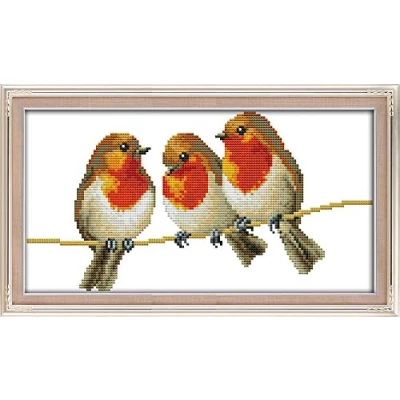 Image de Abillyn Kit de broderie au point croix motif trois petits oiseaux estampillés avec imprimé (oiseaux 1)