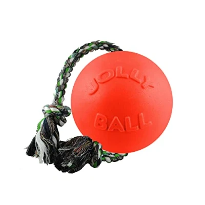 Image de Jolly Pets Romp n Roll Jouet