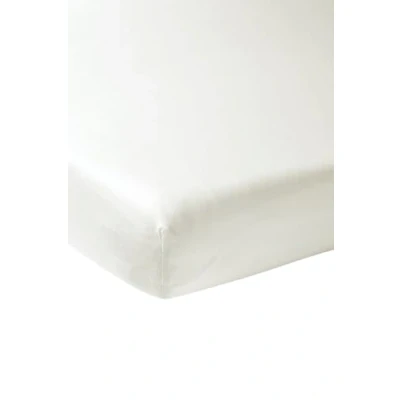 Image de Meyco Home Basic Jersey Uni, Drap pour 1 Personne (Drap avec qualité Doux, 100% Coton, Ajustement Parfait grâce à Un Cordon élastique Tout Autour, Taille : 120 x 200 cm), Blanc Chaud