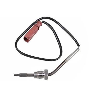 Image de METZGER 0894960 Palpeur, température des gaz SKODA: Fabia 2, Roomster, VOLKSWAGEN: Polo IV 3/5 portes, SEAT: Ibiza 3