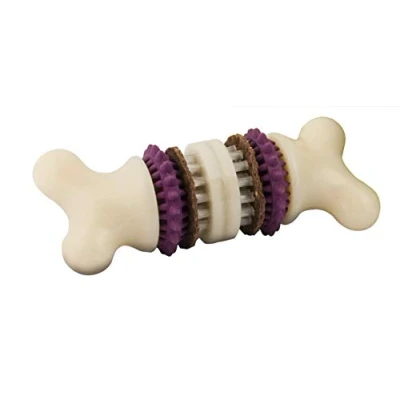 Image de PetSafe Jouet pour Chien Busy Buddy Bristle Bone (M), Dentaire avec Friandise Brosse à Dents