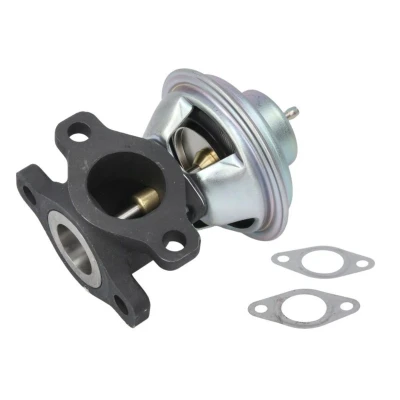 Image de DELPHI EG10623 12B1 Vanne EGR avec joints, sans radiateur PEUGEOT: Boxer Van, Minibus, Сamion à Plateau/Сhâssis, FIAT: Ducato II Bus