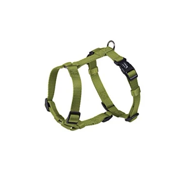 Image de Nobby Harnais en Nylon pour Chien Vert 20 mm x 50/70 cm