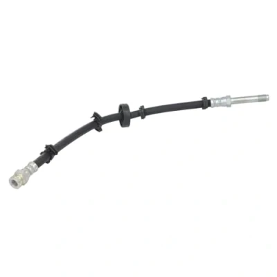 Image de DELPHI LH7698 Flexible De Frein 404mm M10x1 Int SF IVECO: DAILY 4 Kasten/Kombi, 6 , Pritsche/Fahrgestell