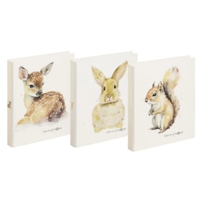 Image de PAGNA Save me No.4 20778 25 Lot de 3 classeurs à 2 anneaux A4 assortis Motif lapin, chevreuil, écureuil