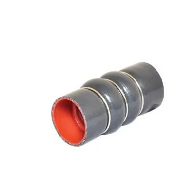 Image de BUGIAD 88641 Gaine De Suralimentation 49 FORD: Transit Connect Mk1 Van