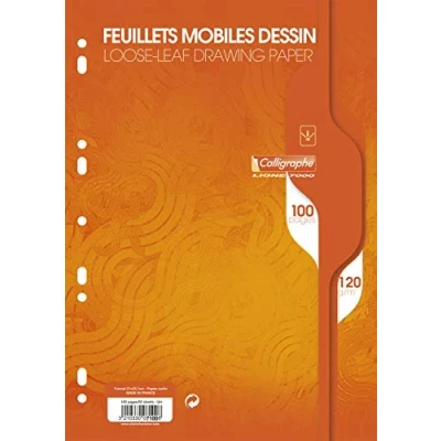 Image de Calligraphe 7100C Un Paquet de Feuillets Mobiles Dessin Perforés sous Film (une Marque Clairefontaine) A4 21x29,7 cm 100 Pages Unies Blanches Papier 120 g