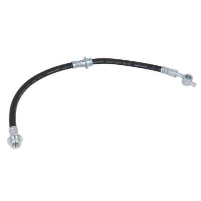 Image de DELPHI LH6209 Flexible De Frein 488 M10x1 Int SF NISSAN: Almera II 3/5 portes