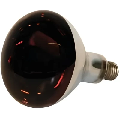Image de Kerbl Ampoule Infrarouge Verre trempé