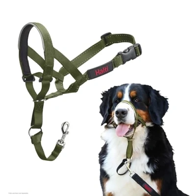 Image de Licol HALTI pour Que Votre Chien arrête de Tirer sur sa Laisse, Facile à Enfiler, Partie entièrement matelassée Le museau, Colliers Anti Traction Grands Chiens (Taille 4, Vert Forêt)