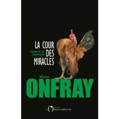 Image de La cour des miracles Livre d’occasion Bon