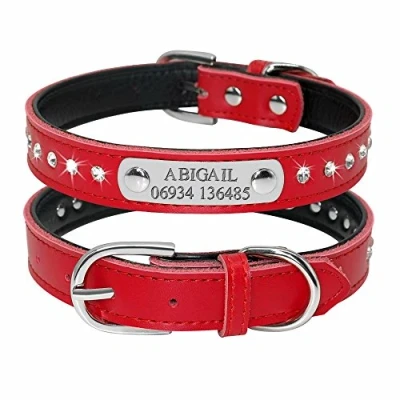 Image de Didog Collier Rembourré en Cuir, avec Strass pour Chiens et Chats de Petite Moyenne Taille (Gravure Personnalisable)