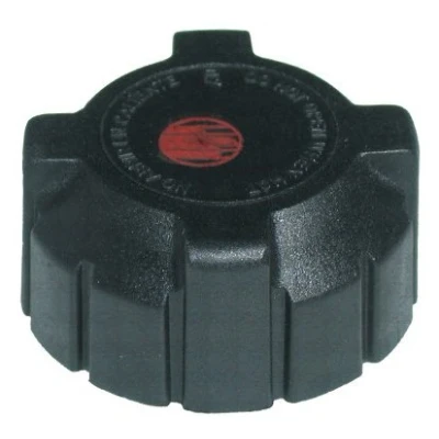 Image de 3RG 81900 Bouchon, réservoir de liquide refroidissement 1bar MINI: Cabriolet, 3/5 portes, FIAT: Punto II Panda I portes