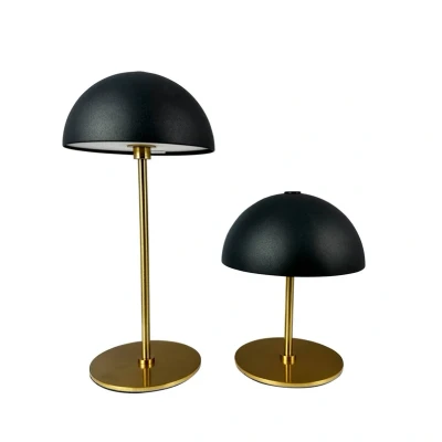 Image de Dyberg Larsen Lampe à poser LED rechargeable Along, noir, hauteur 20 cm