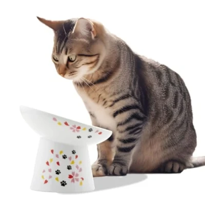 Image de Necoichi Gamelle surélevée extra large pour chat, surélevée, empêche la fatigue du cou et des moustaches, passe au lave vaisselle micro ondes, vendeur n1 Japon (Sakura Limited Edition,