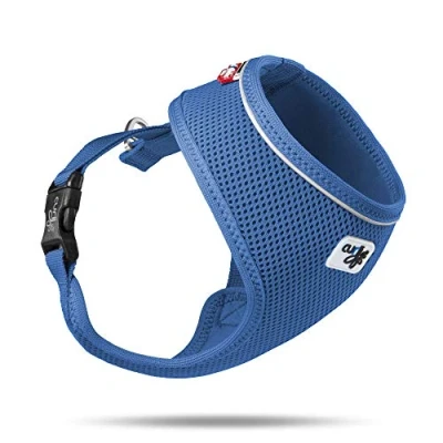Image de Curli Harnais Basic en maille Air Mesh Bleu