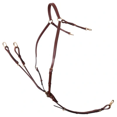 Image de BR Cuirasse Collier de Chasse Rayleigh Cob Tobacco