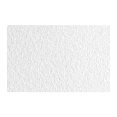 Image de Honsell Fabriano Tiziano 21297101 Lot de 50 feuilles papier pastel Bianco DIN A4 160 g/m² Haute capacité Sans acide et résistant à l&#039;usure Surface rugueuse antidérapante