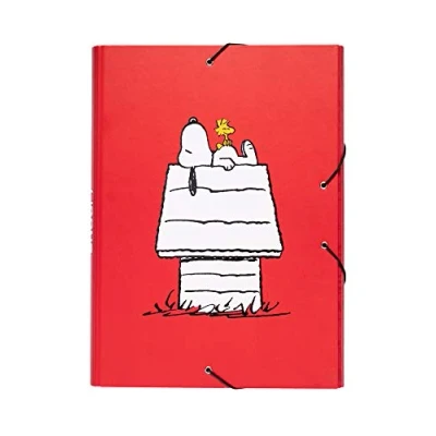 Image de Grupo Erik Editores csg0049 Chemise avec élastiques