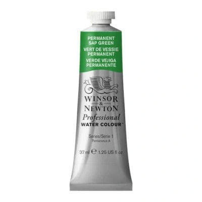 Image de Winsor &amp; Newton Aquarelle Professionnel Peinture Aquarelle, Haute Luminosité, Résistante à la Lumière, Qualité Archive, Tube de 37 ML, Couleur Vert Vessie Permanent