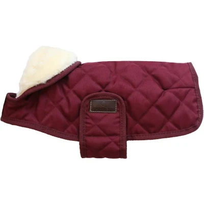 Image de Kentucky Veste pour Chien Original Royal Bordeaux 31cm