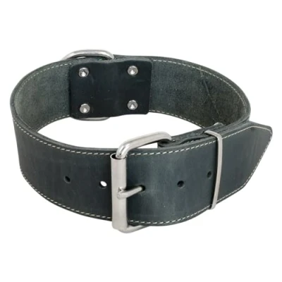 Image de JACK AND VANILLA, Collier Large pour Chien, Modèle Cuir Gras, Couleur Gris, Taille 30 mm x 45 cm