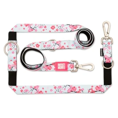 Image de Max &amp; Molly Laisse Multifonction pour Chien de 2 m avec mousquetons, Cherry Bloom/L rembourrée, sûre et Flexible Confort Votre fidèle Compagnon