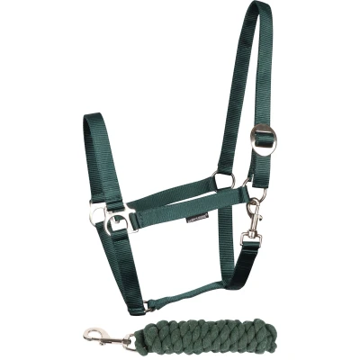 Image de Harry&#039;s Horse Ensemble licol Initial Shetland Vert