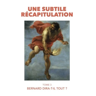 Image de Une subtile récapitulation: Tome 3 Bernard dira t il tout ?