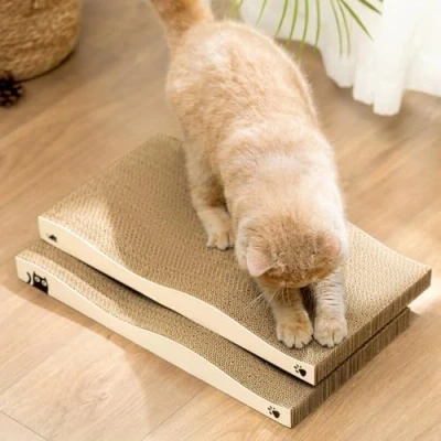 Image de Conlun Griffoir pour Chat en Carton Ondulé Double Face, Durable et Recyclable avec Herbe à Idéal Protéger Les Meubles (2 Pièces)