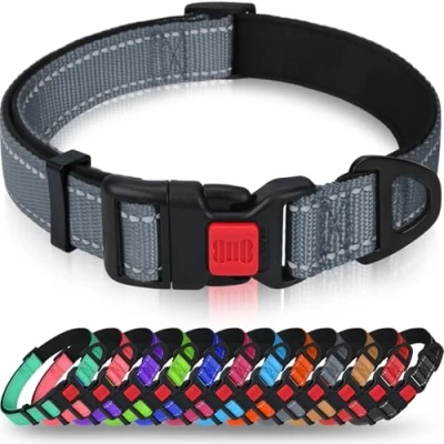 Image de Taglory Collier pour Chien, en Nylon Réfléchissant Réglable Classique avec Rembourré Doux Respirant Mesh Petits Chiens, S, Gris