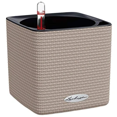 Image de Lechuza Cube Color 16 Brun Sable 13488