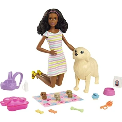Image de Barbie Famille Coffret Naissance des Chiots, avec poupée Brune, 1 Chienne et 3 Accessoires de Soin, Jouet pour Enfant, HCK76