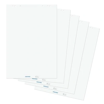 Image de Franken GmbH Paper Media F2120 Lot de 100 feuilles papier pour tableau blanc blanchi sans chlore 80 g/m²