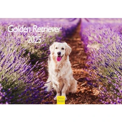 Image de Edition Seidel Calendrier mural 2025 de qualité supérieure Format A4 Motif chien Chiot Race