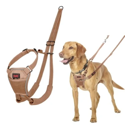 Image de Harnais Anti Traction HALTI pour Que Votre Chien arrête de Tirer sur sa Laisse, Sangle poitrail et des Pattes Avant rembourrée, Chiens Taille Moyenne (Taille M, Sable du Désert)