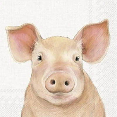 Image de IHR Ideal Home Range Lot de 20 serviettes repas en papier Motif : cochon 33 x cm