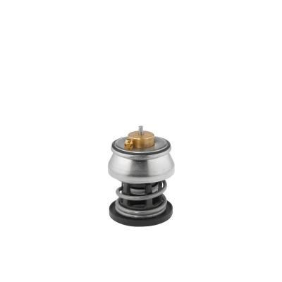 Image de WAHLER 412253.88D Thermostat d&#039;eau 88 BMW: 1 5 portes, Berline, 3 MINI: Cabriolet, 3/5 portes