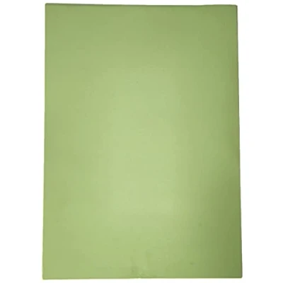 Image de House of Card &amp; Paper Lot de 50 feuilles cartonnées colorées 220 g/m² Vert pastel Format A3 297 x 420 mm