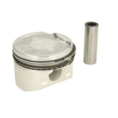 Image de KOLBENSCHMIDT 41284600 Piston 79,5 RENAULT: LAGUNA 2, SCENIC 3, MEGANE 3