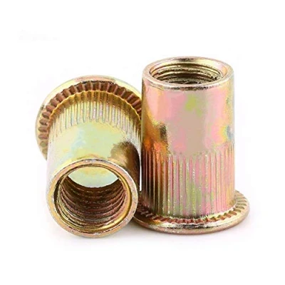 Image de Lot de Ecrous Rivet Insert Filetage Métrique en Acier au Carbone Zingué (M5 x 100pcs)