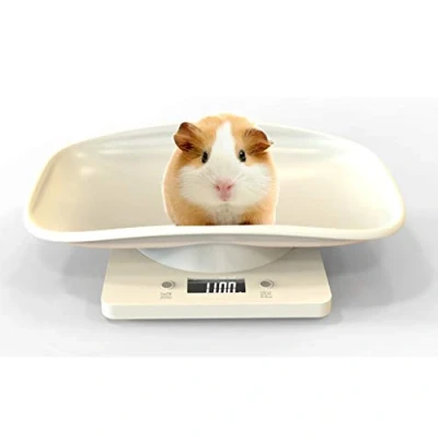 Image de Aceshop Balance Numérique pour Animaux avec écran LCD, 4 Modes de Pondération (oz/ML/LB/g) Les et La Cuisine Mesurant Chats, Chiens, Nourriture, Capacité Jusqu&#039;à 10kg/22lb