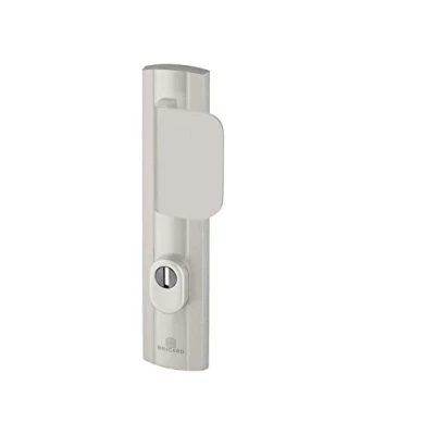 Image de Bricard 9910071 Ensemble de Poignées Blindées sur Plaque Expression Palière Béquille + Aileron pour Porte d’Entrée (pour Cylindre Européen), Coloris Argent