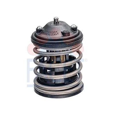 Image de Thermostat d&#039;eau FACET 7.8762